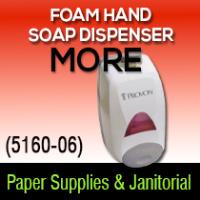 (5160-06) Foam hand soap dispen